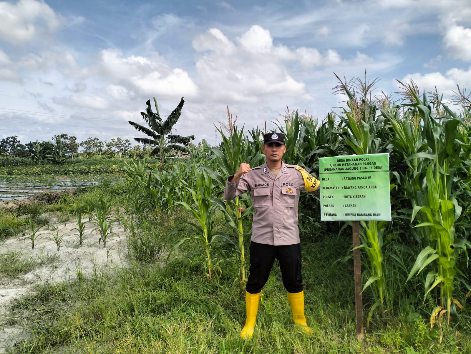 Bhabinkamtibmas Polsek Kota Kisaran Lakukan Pengecekan Lahan Jagung Dukung Program Ketahanan Pangan